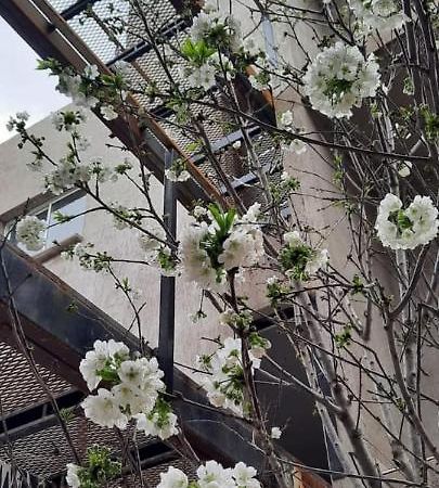 El Cerezo Apartment เมนโดซา ภายนอก รูปภาพ