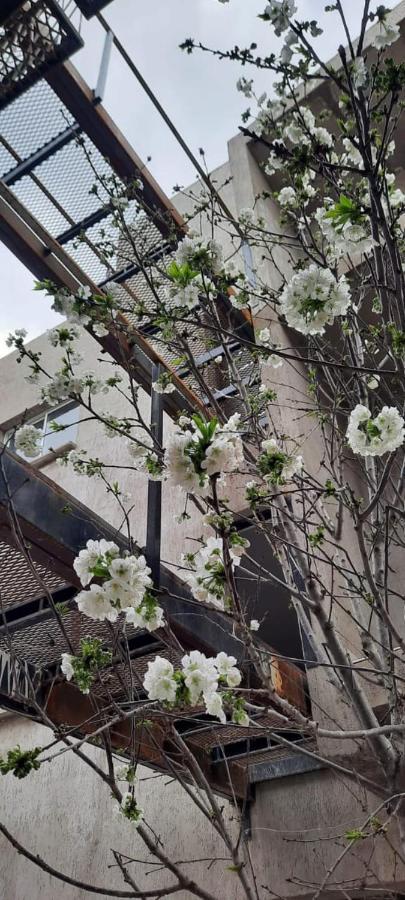 El Cerezo Apartment เมนโดซา ภายนอก รูปภาพ